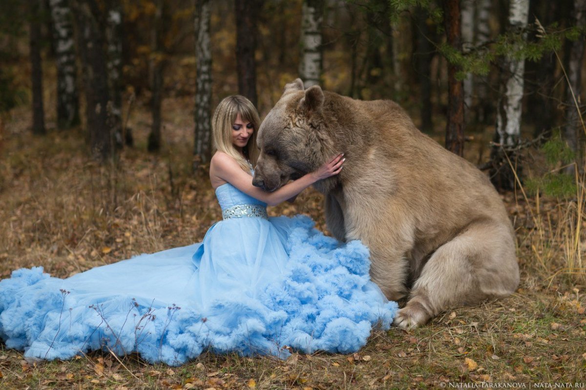 Свадебная фотосессия с медведем