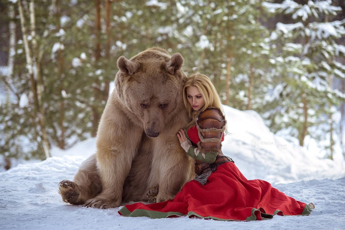 Медведь Степан Юрьевич Мирный