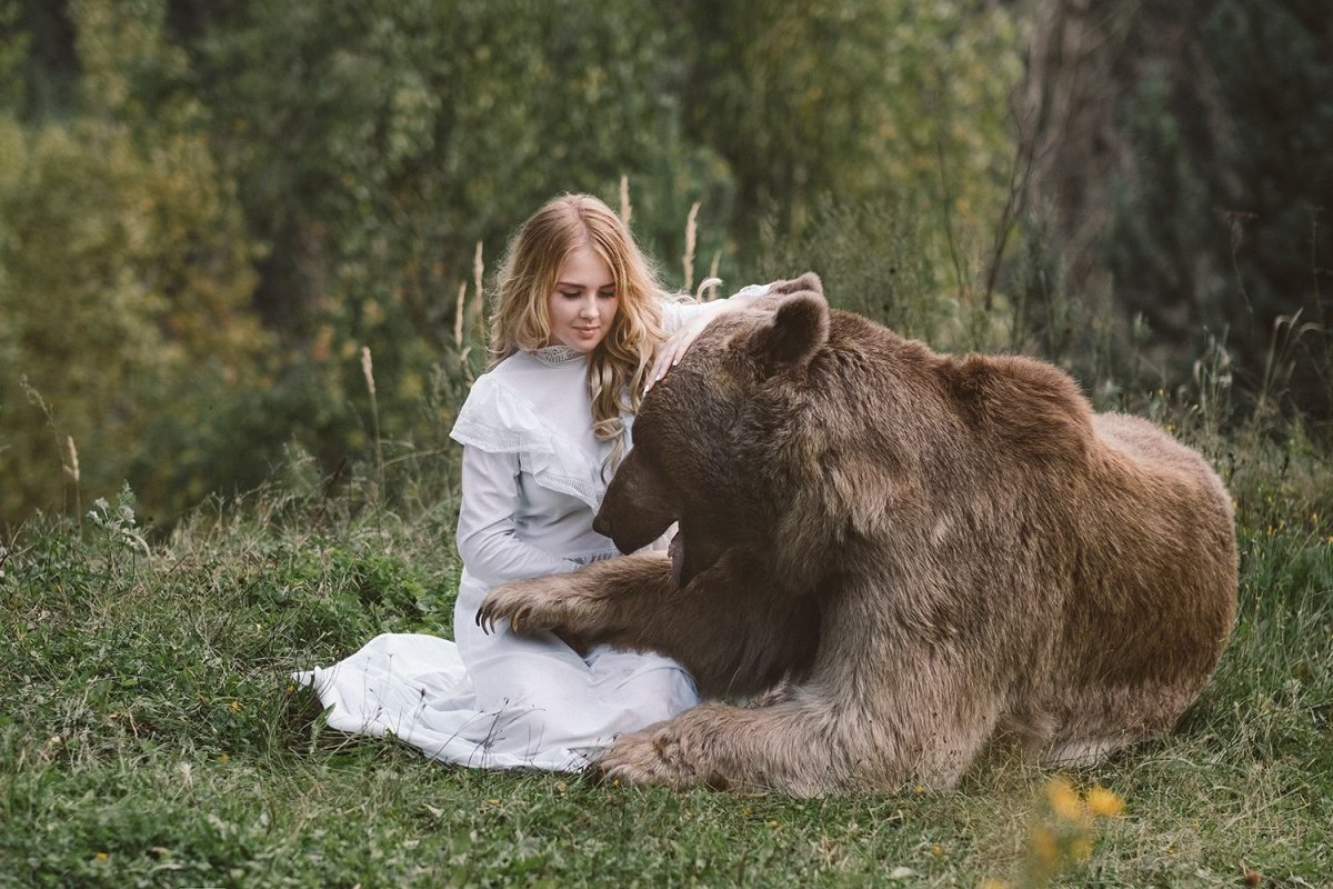 Медведь бурый с человеком