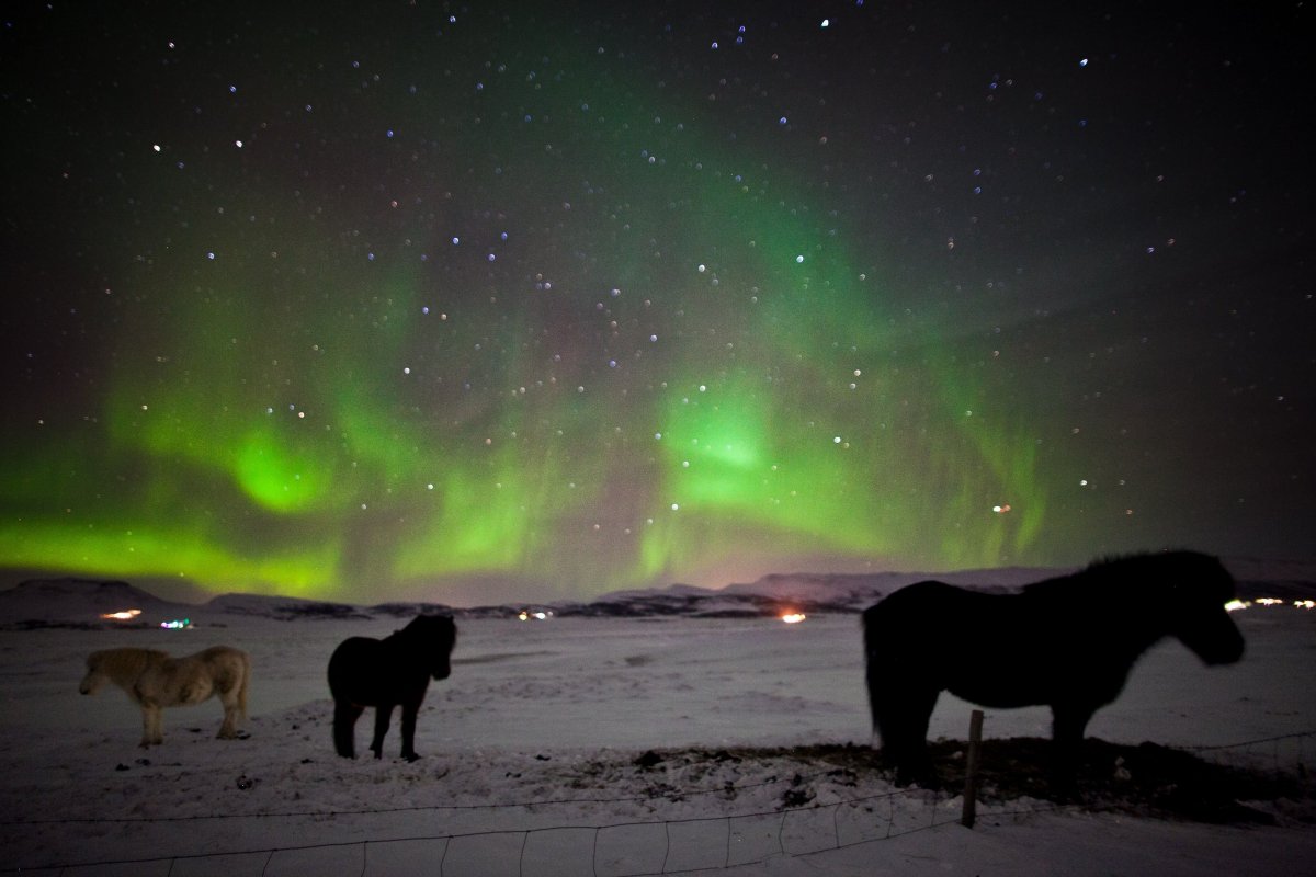 «Белый медведь: шпион во льдах» (2011) bbc фильм