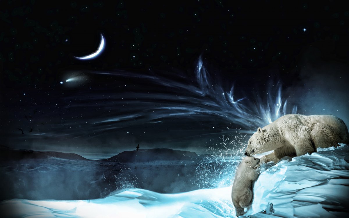 Северный медведь картинка для магазина