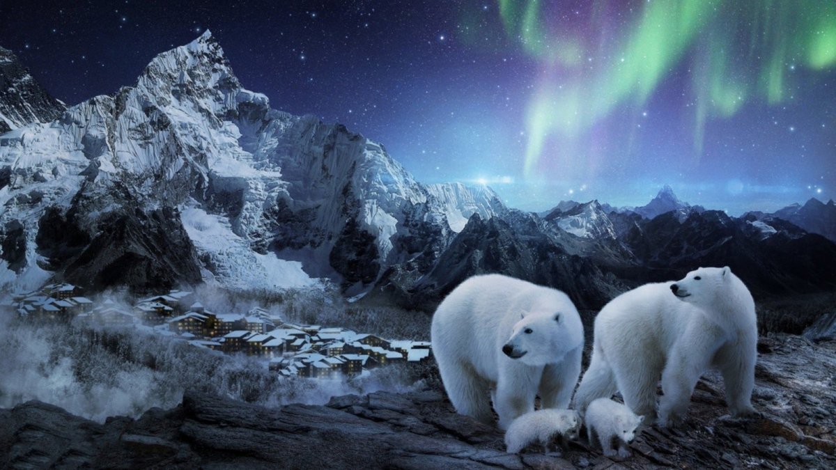 Северный полюс Северное сияние белый медведь