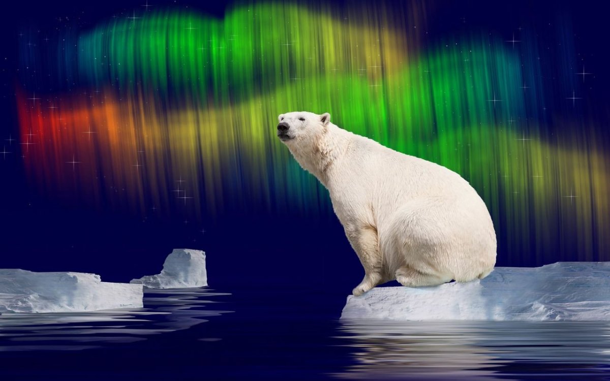 Умка Северное сияние