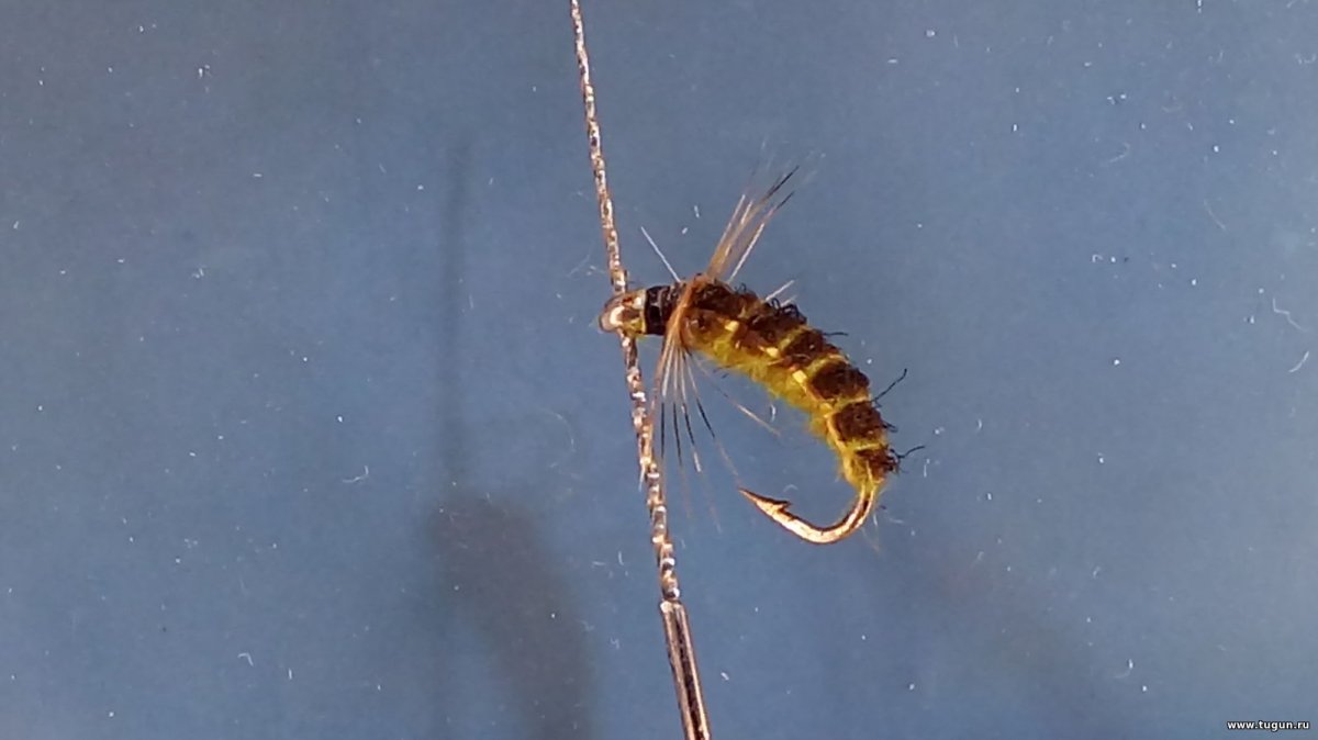 Паутина личинки ручейника