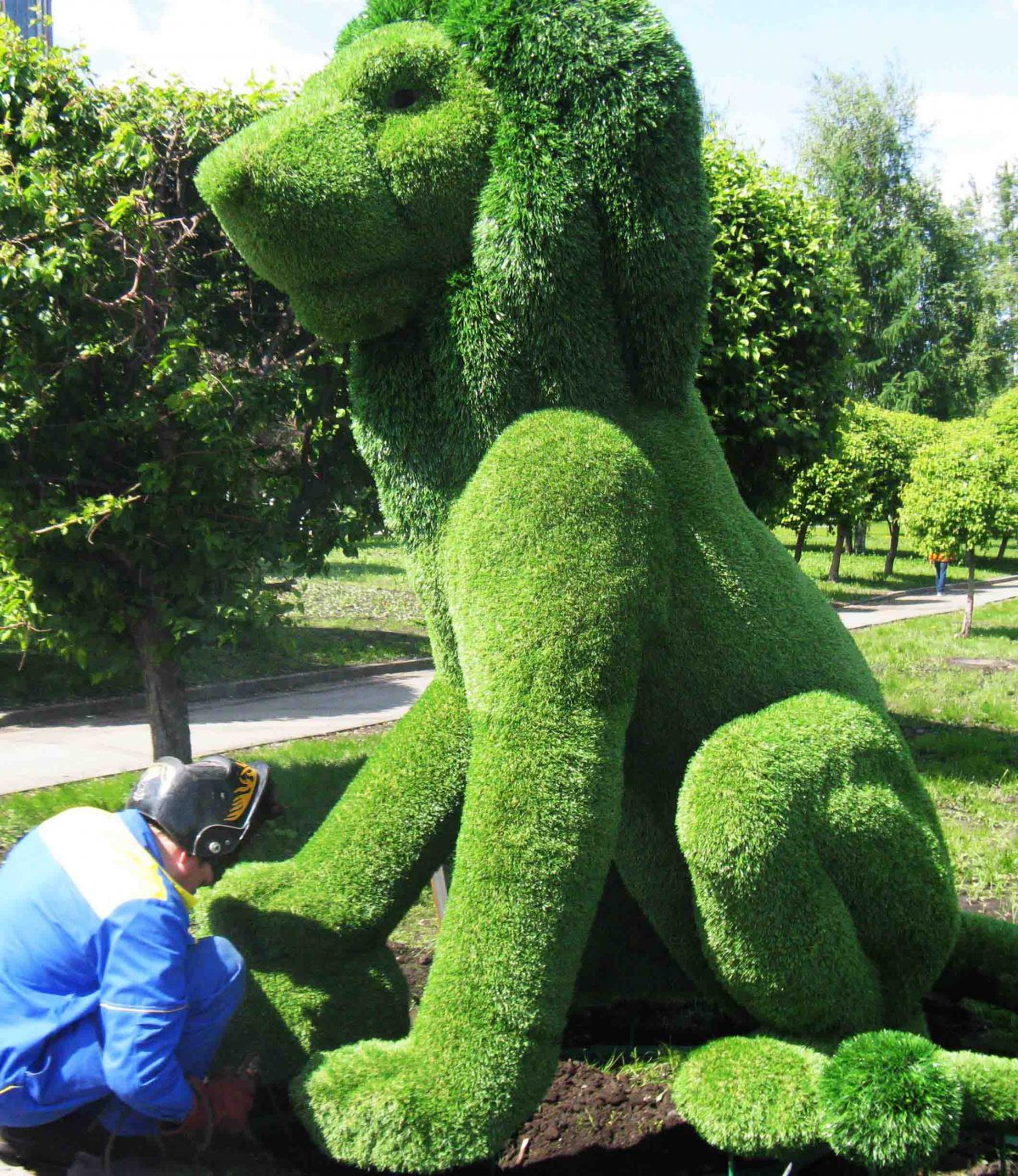 Вечнозеленые скульптуры Бачо