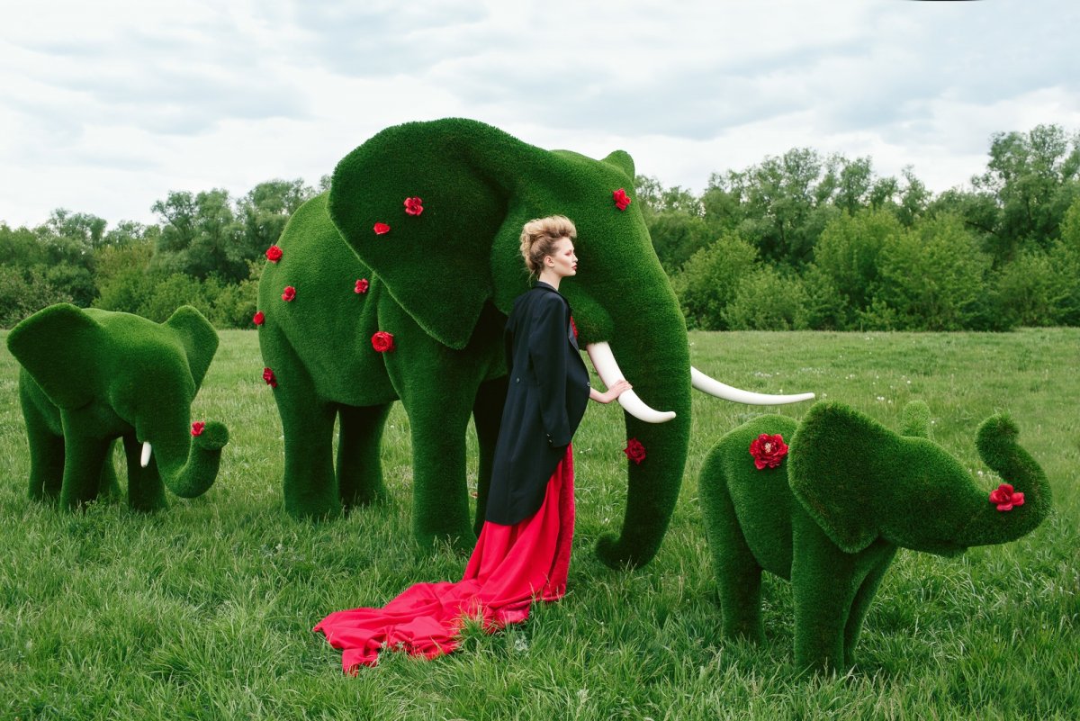 Топиари слон Бачо