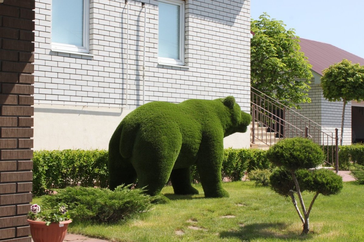 Топиари медведь