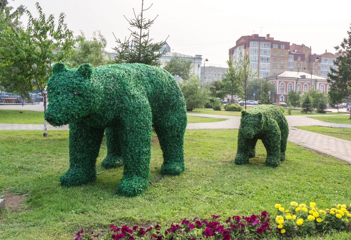 Топиарная фигура Феликс Тюмень