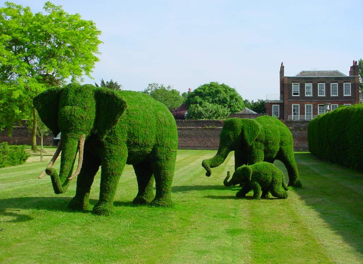 Топиари парк Сочи