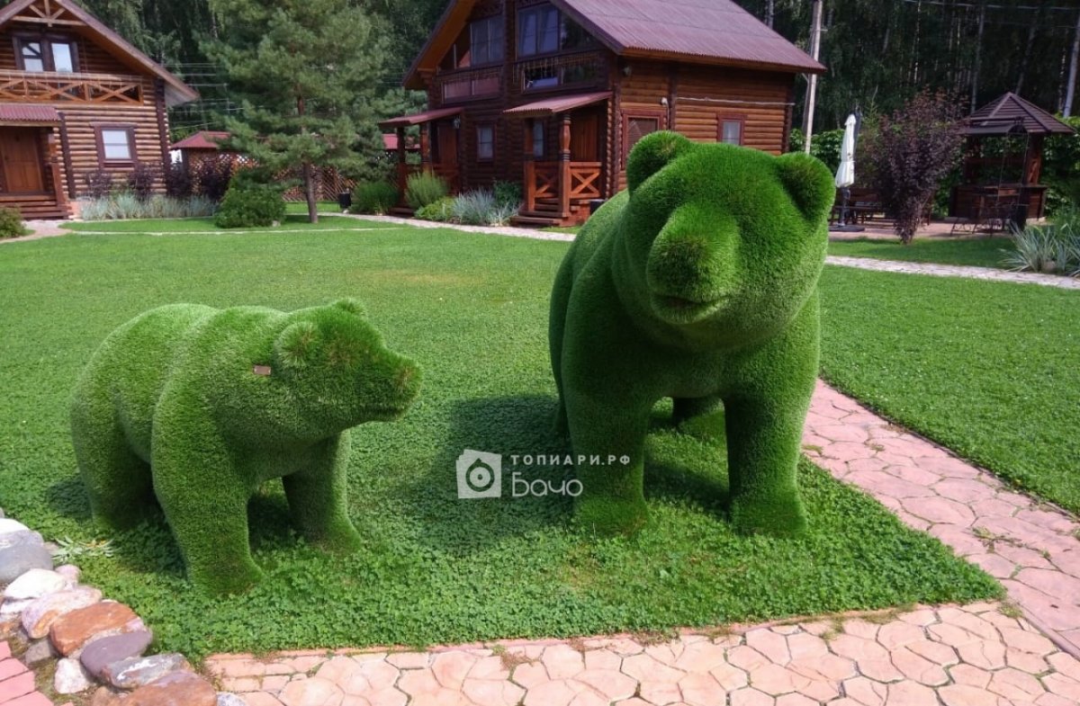 Топиарная фигура медведь большой