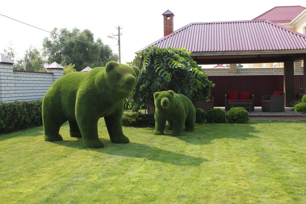 Топиарные фигуры Бачо