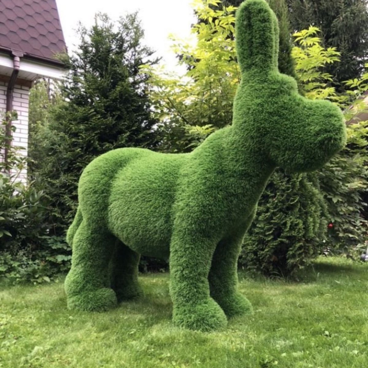 Ива ломкая топиарные фигуры