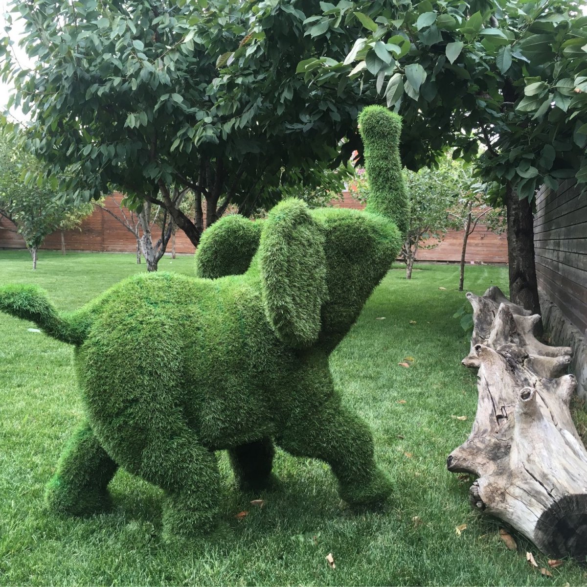 Топиарная скульптура Цезаря