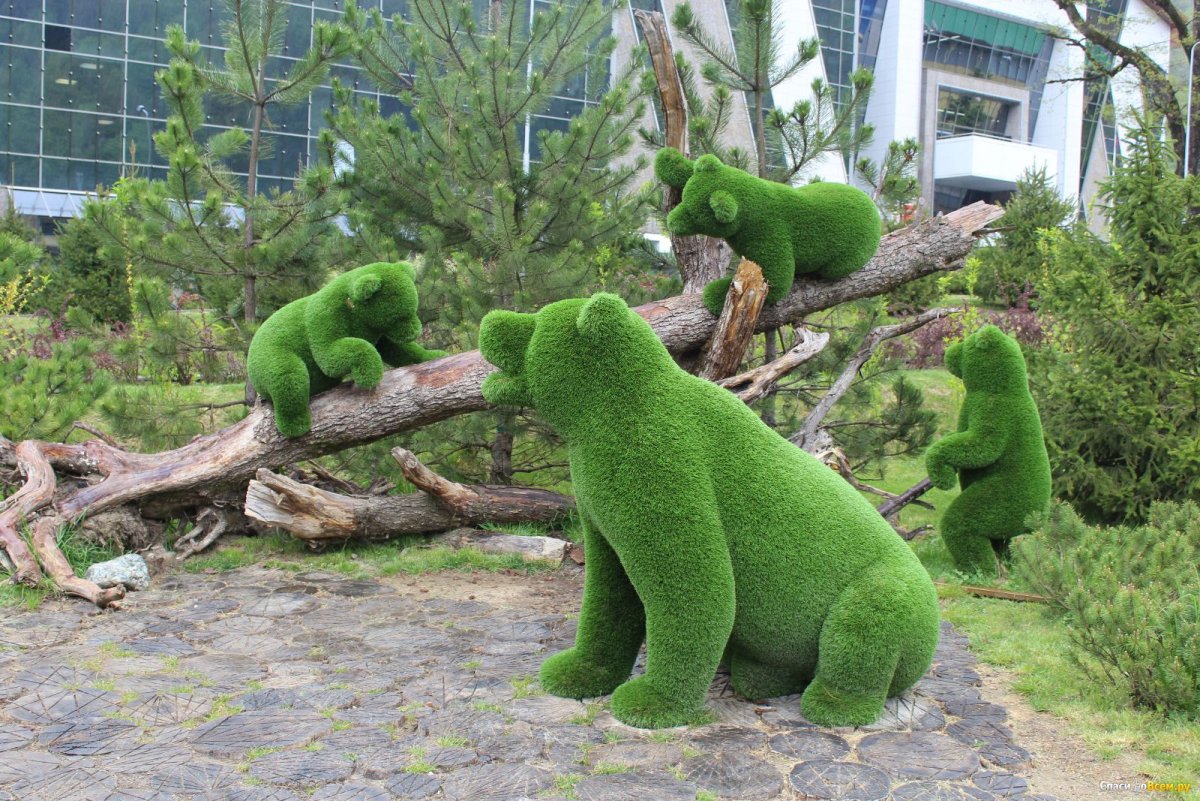 Сочи парк топиарные фигуры