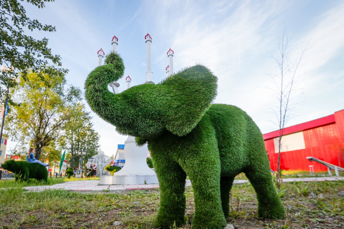 Ива ломкая топиарные фигуры