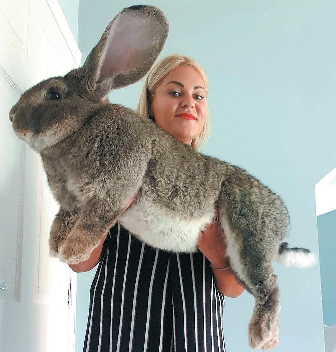 Самый огромный кролик