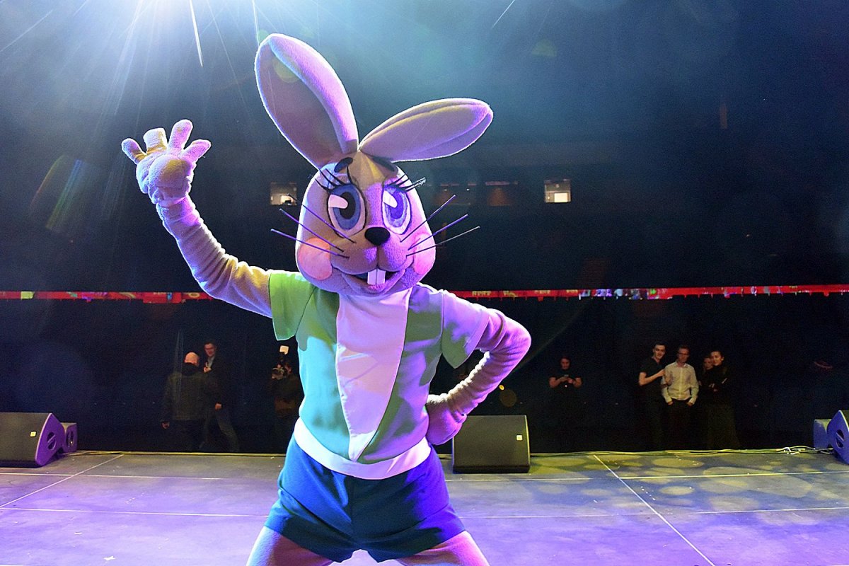 Выступление зайца