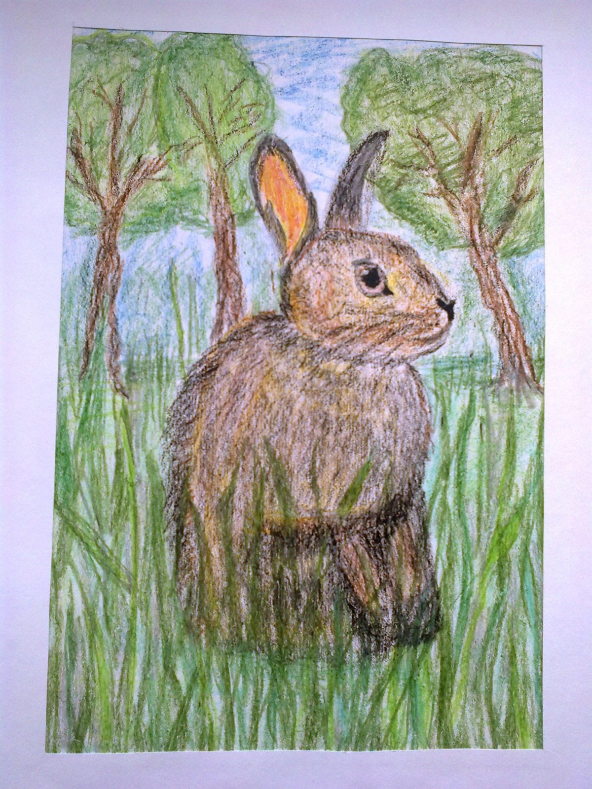 Заяц Русак Детеныши