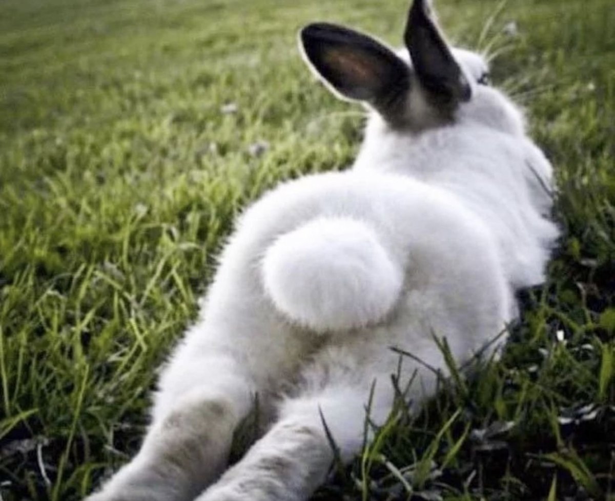 Кроличий хвостик