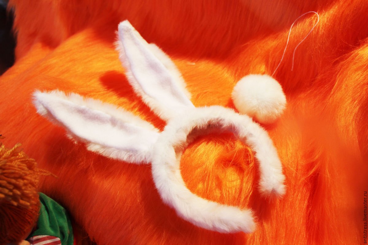 Заяц Русак Кенозеро