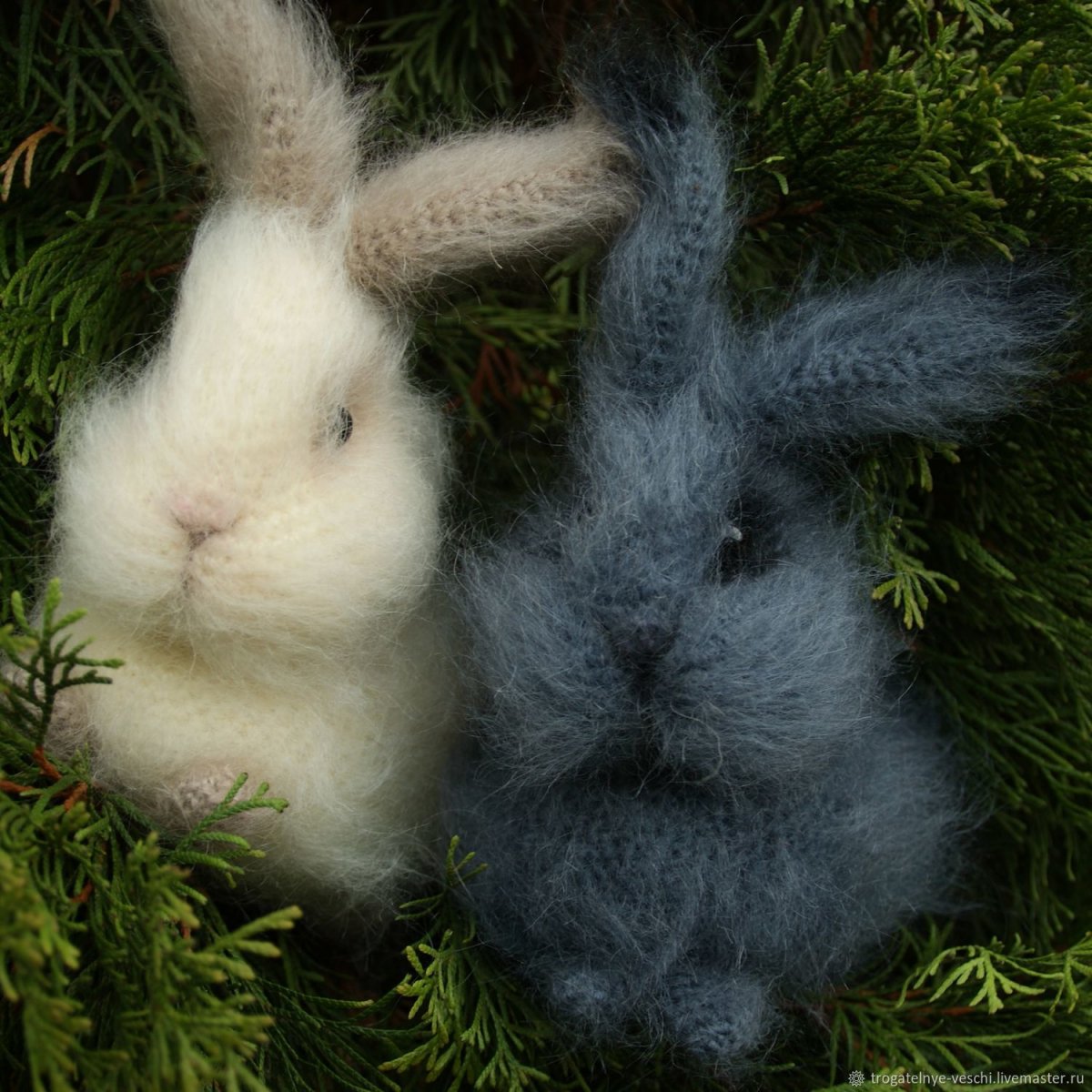 Лапки кролика