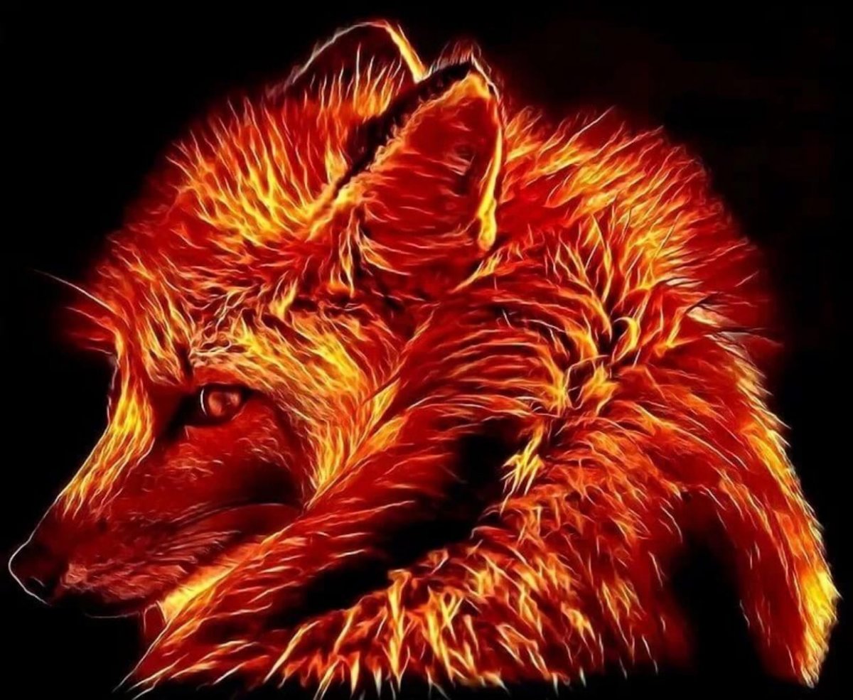 Лисы в огне