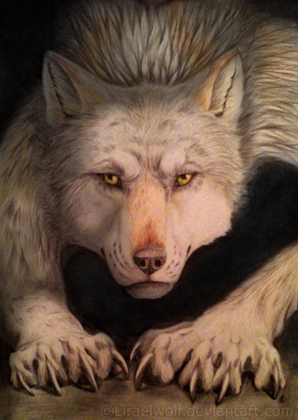 Дмитрий Форест я оборотень