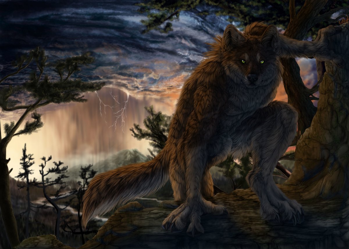 Оборотень волк ликантроп