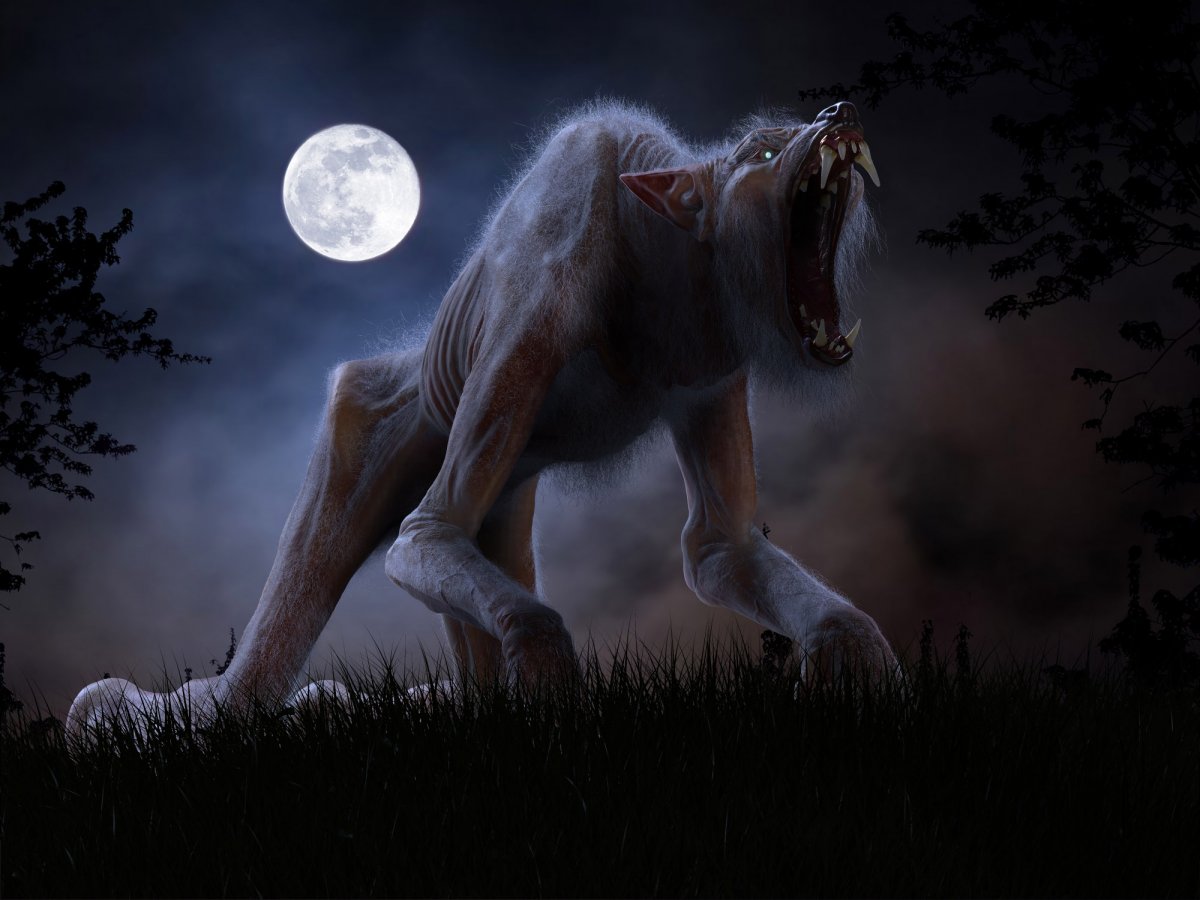 Волк оборотень