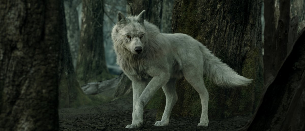 Красивый оборотень