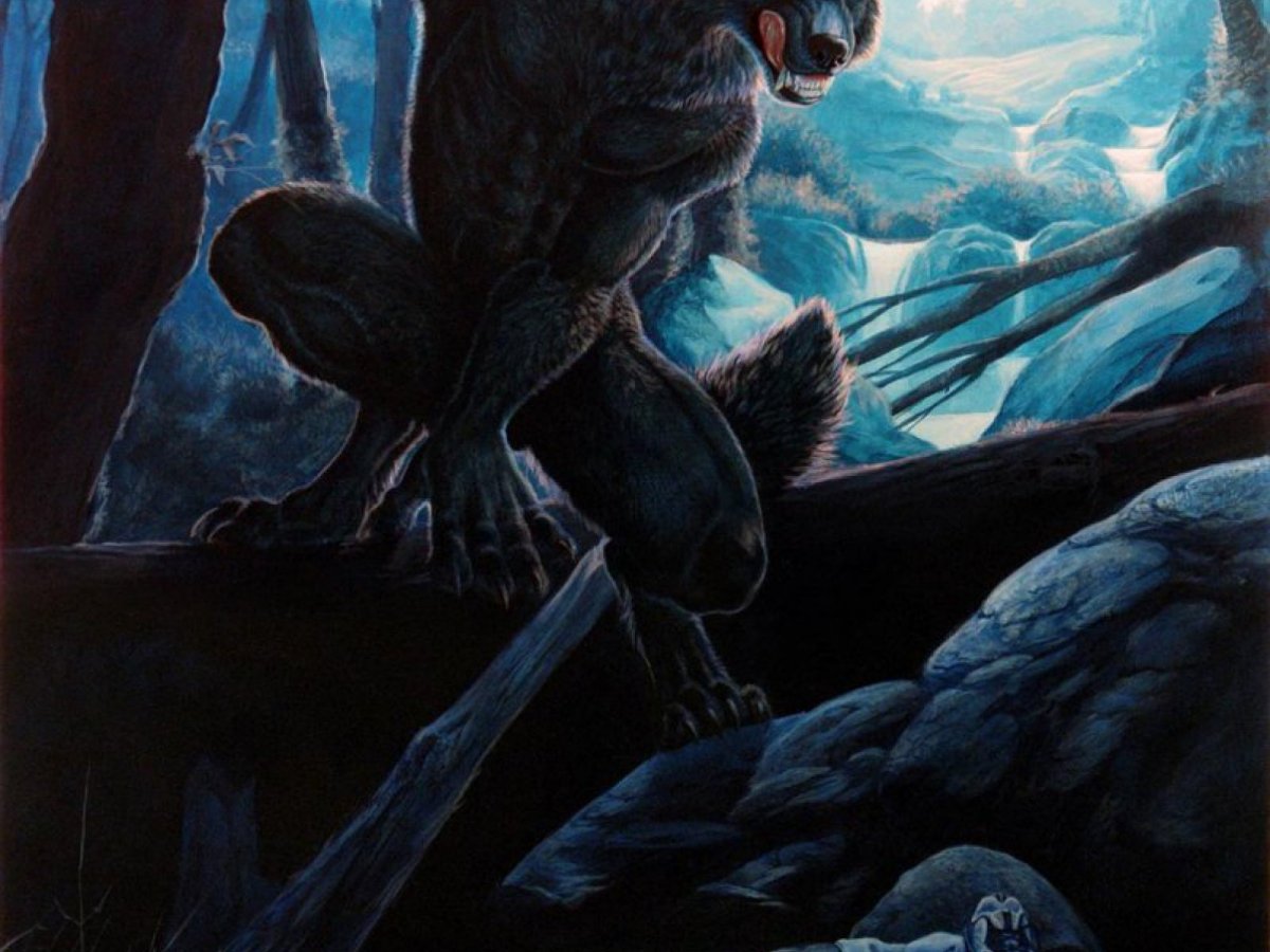 Морда волка фото