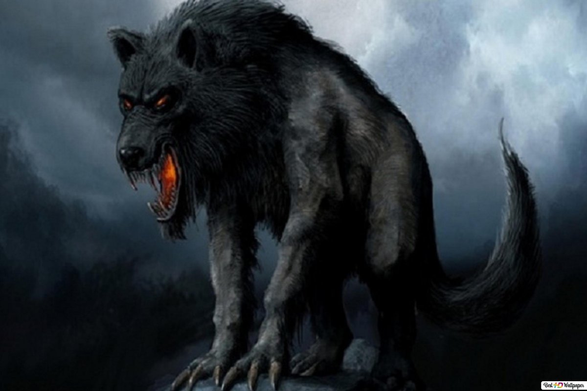 Кинг американский оборотень