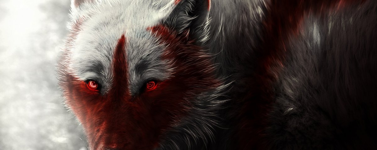 Черный волк Эстетика