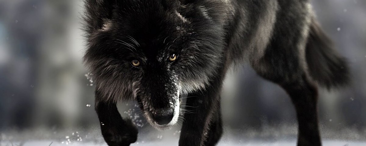 Волчий глаз мультфильм 1998