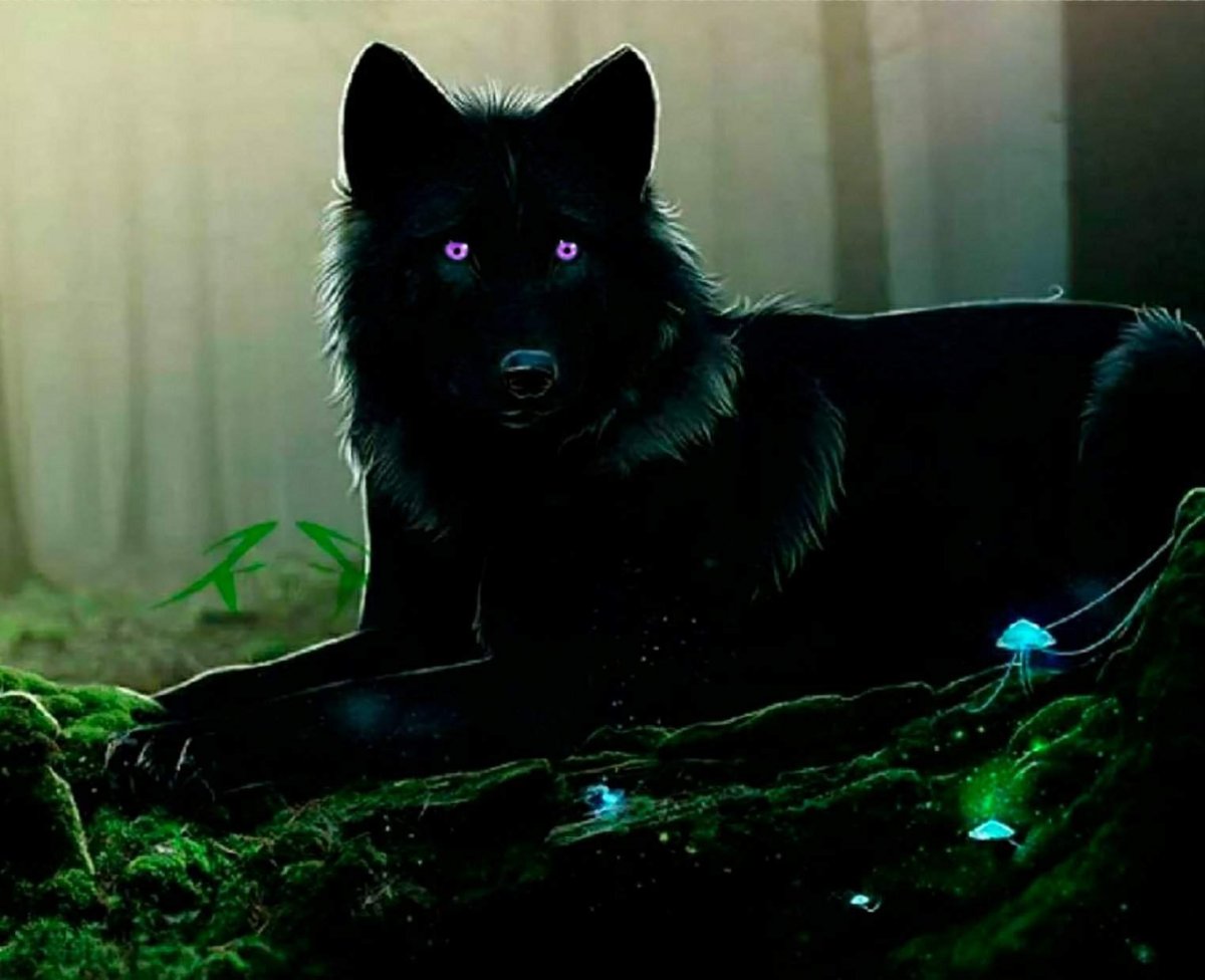 Черный волк арт