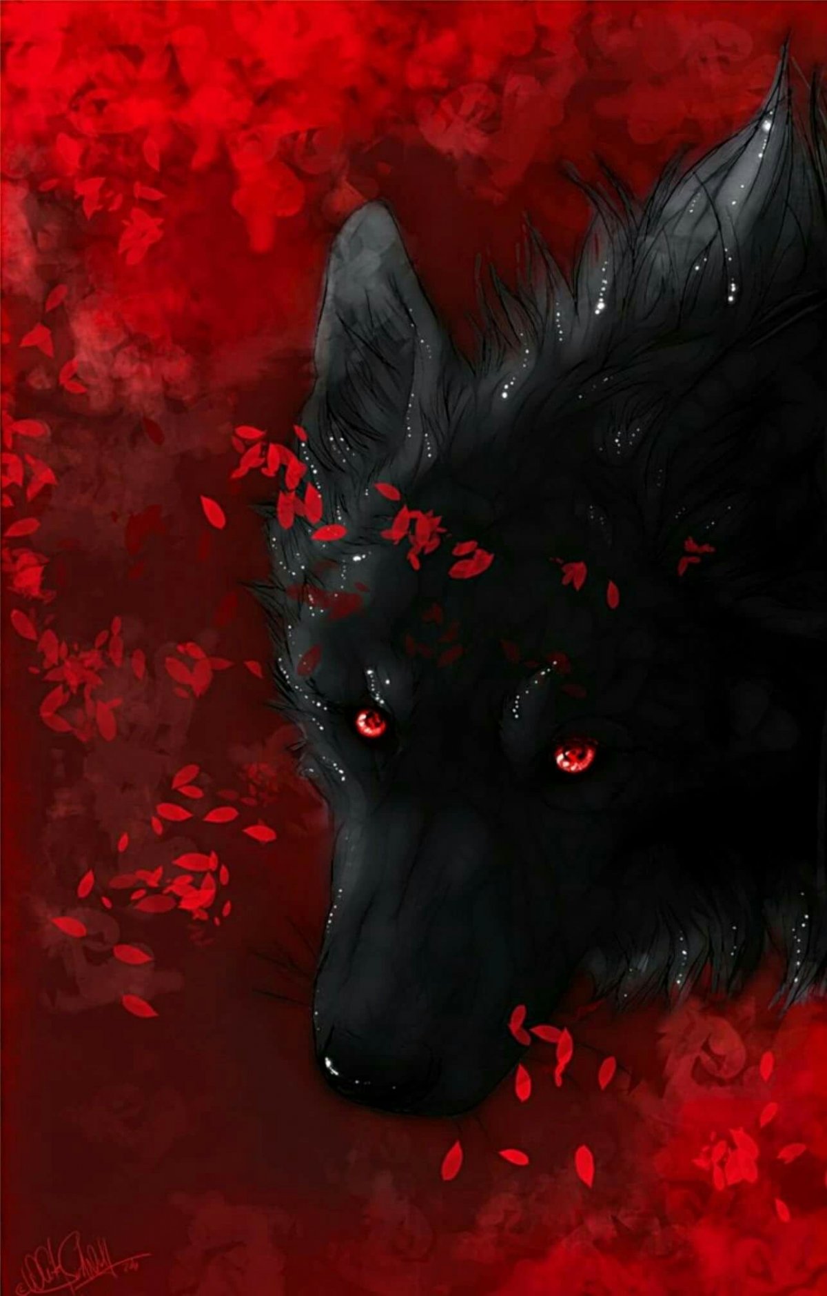 Аниме Волчонок Блэк