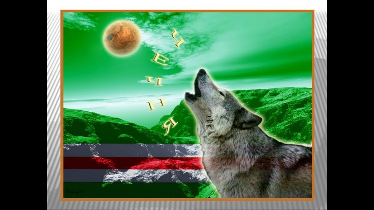 Волк на черном фоне