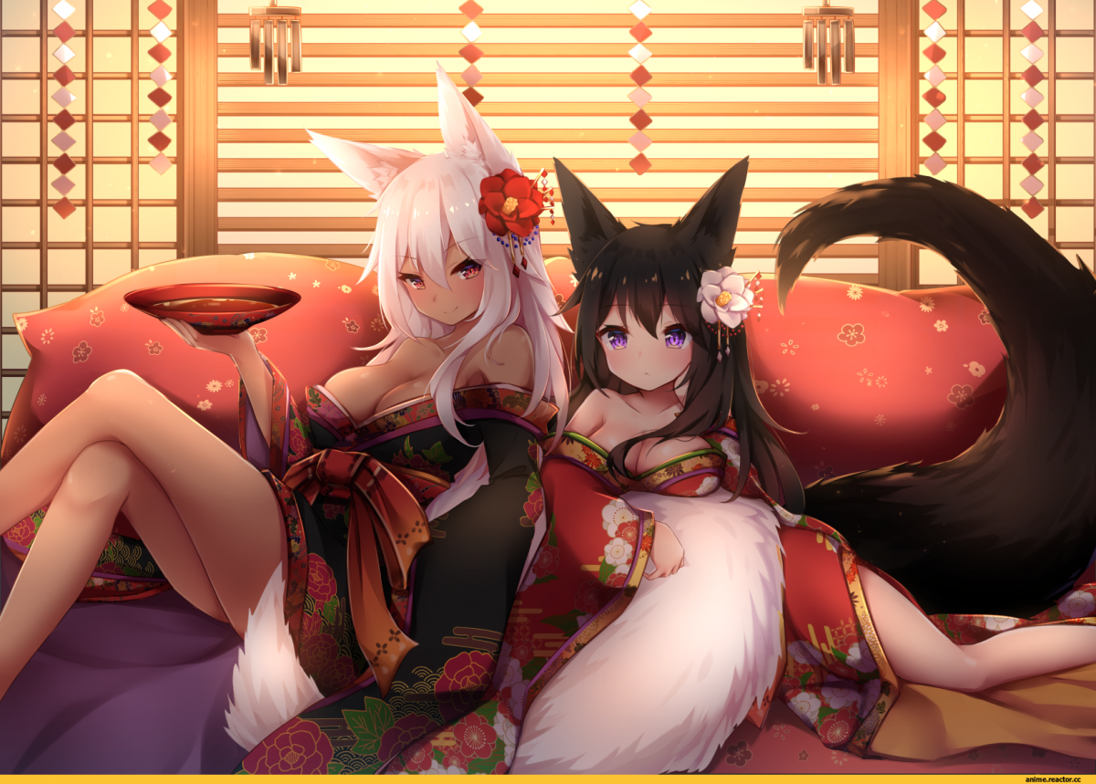 Гинко аниме девушка лиса