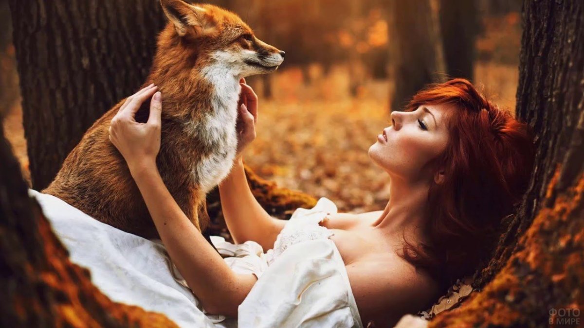 Девушка и лиса