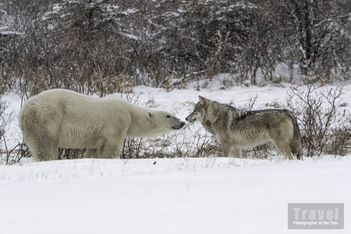 Ольга Баранцева фотограф