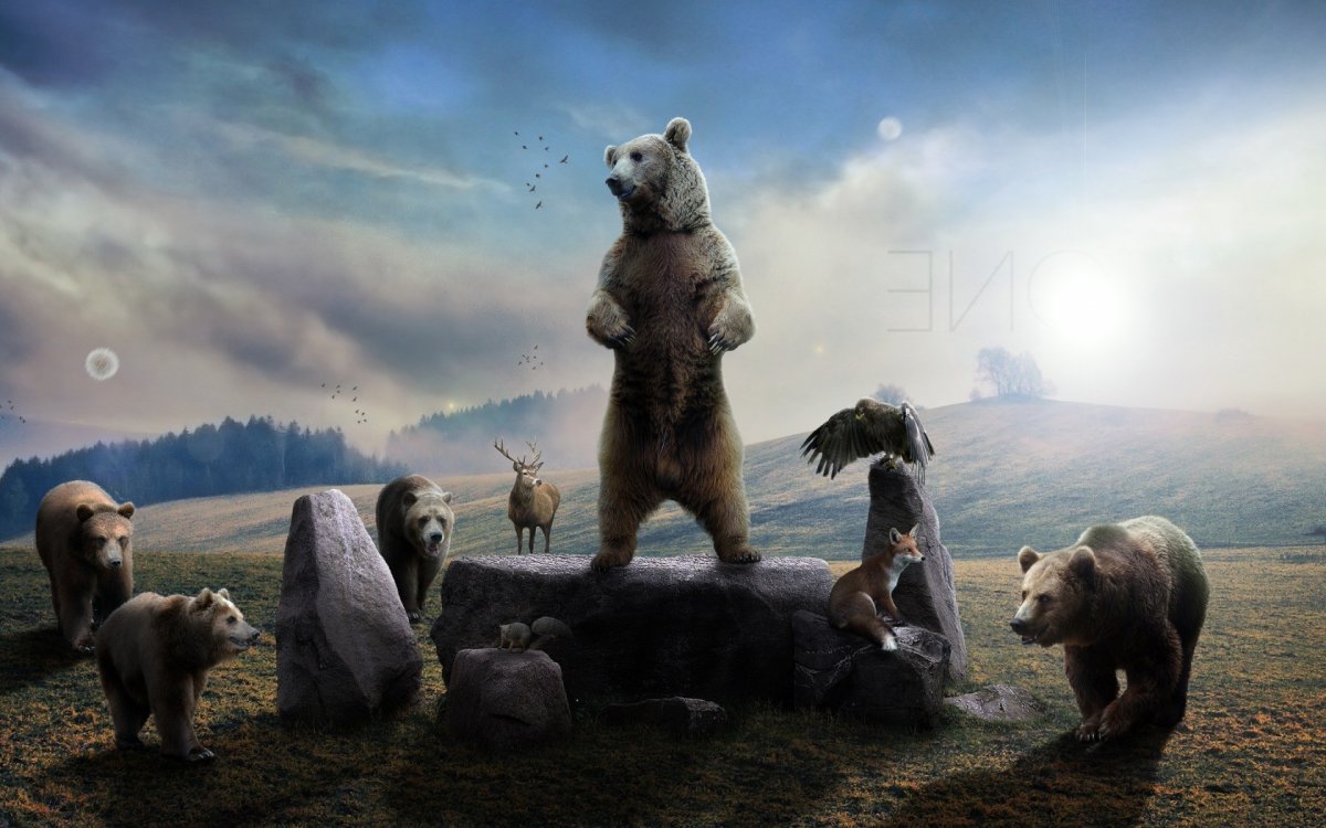 Зимняя фотосессия с медведем