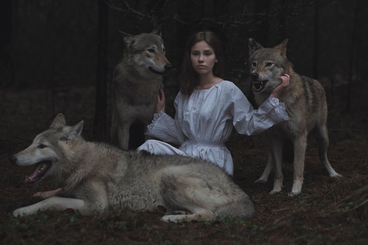 Медведь Степан Шапша