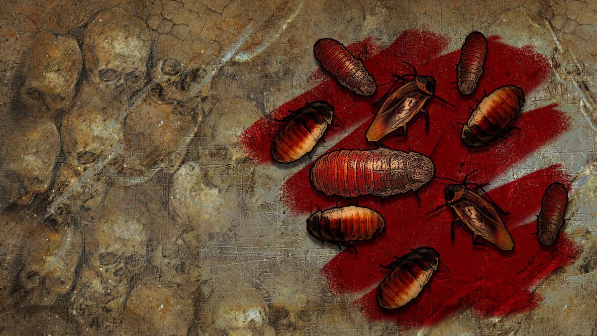 Таркан под микроскопом