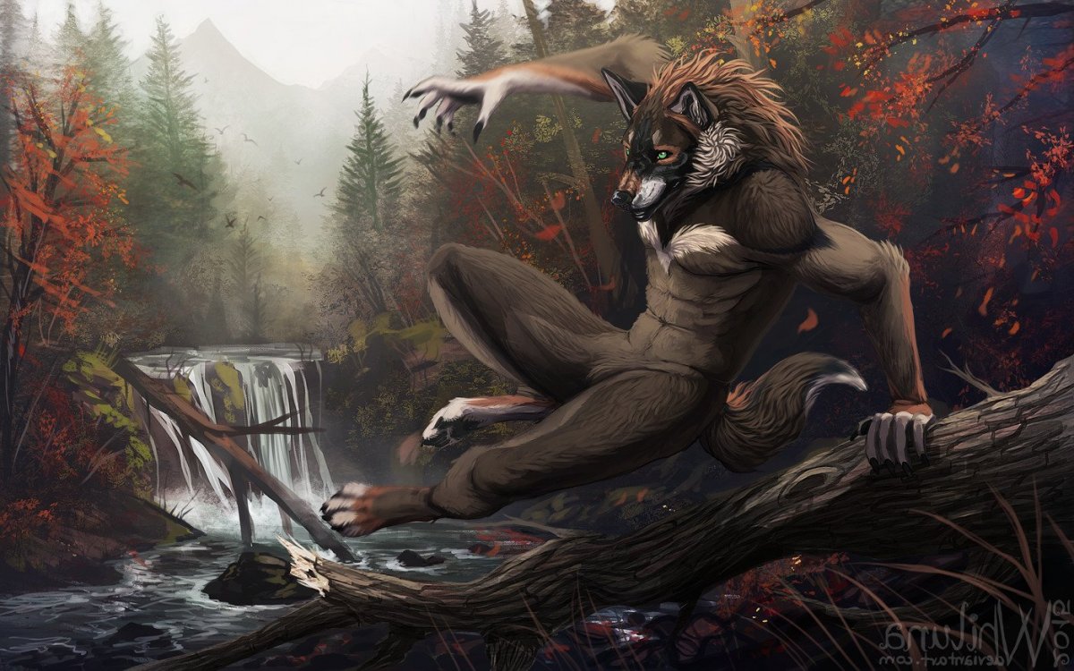 Дмитрий Форест я оборотень