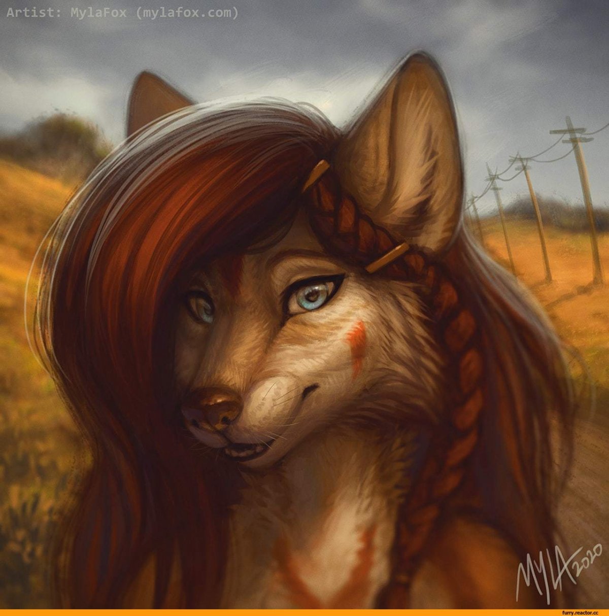 Фото лисы или волчицы на аву