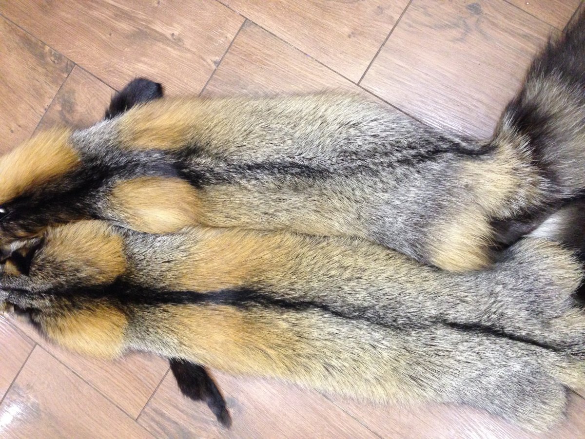 Мраморная крестовка лиса