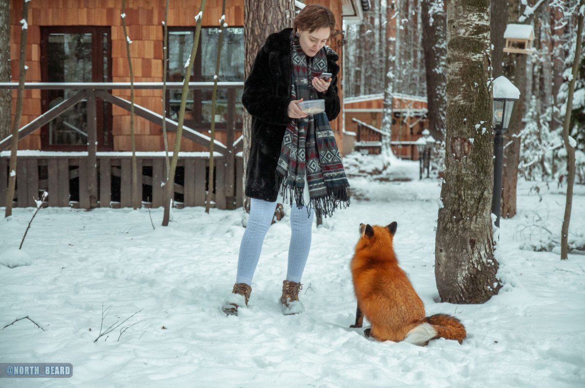 Лиса Алиса Кулакова