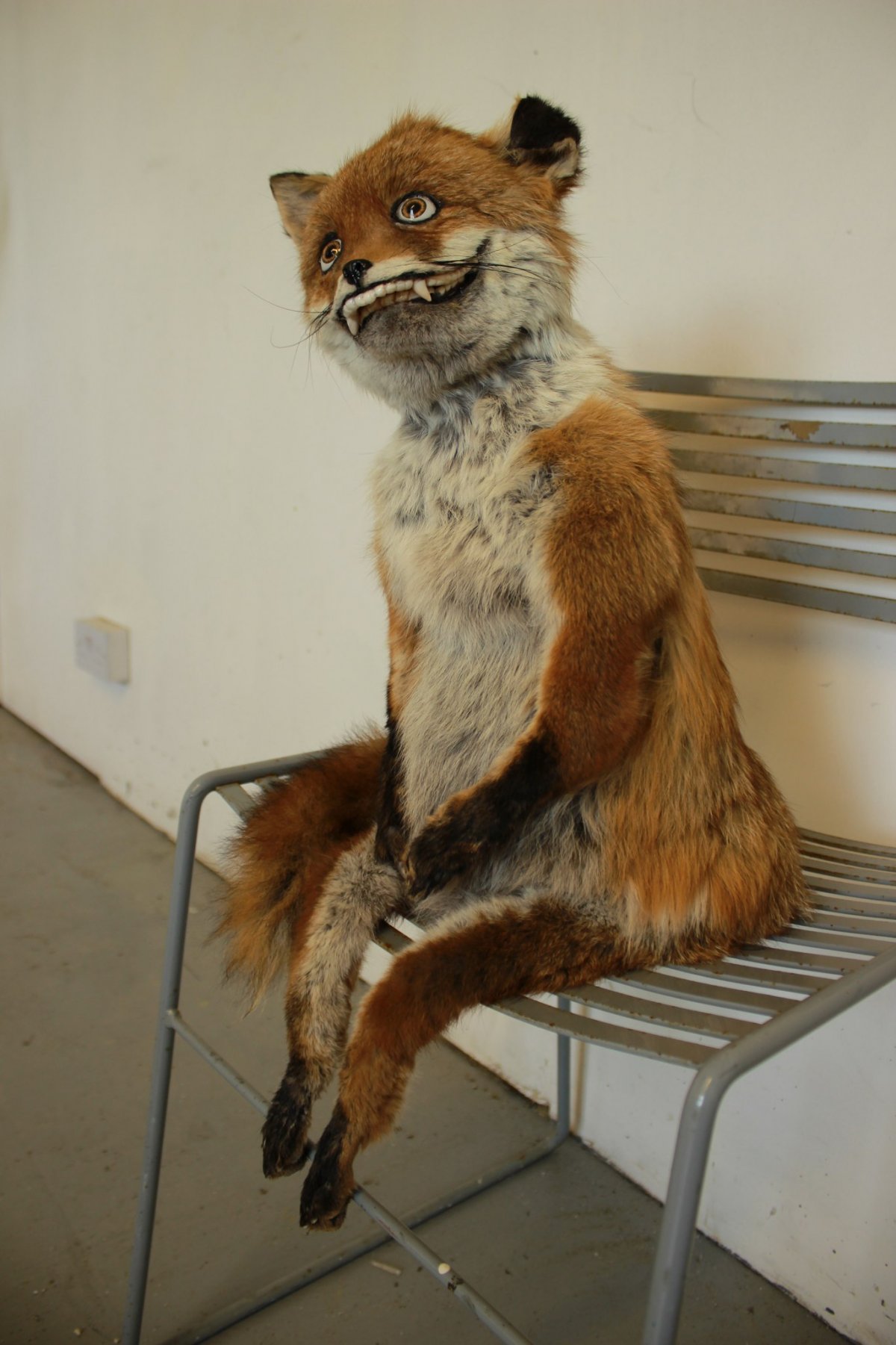 Упоротая лиса