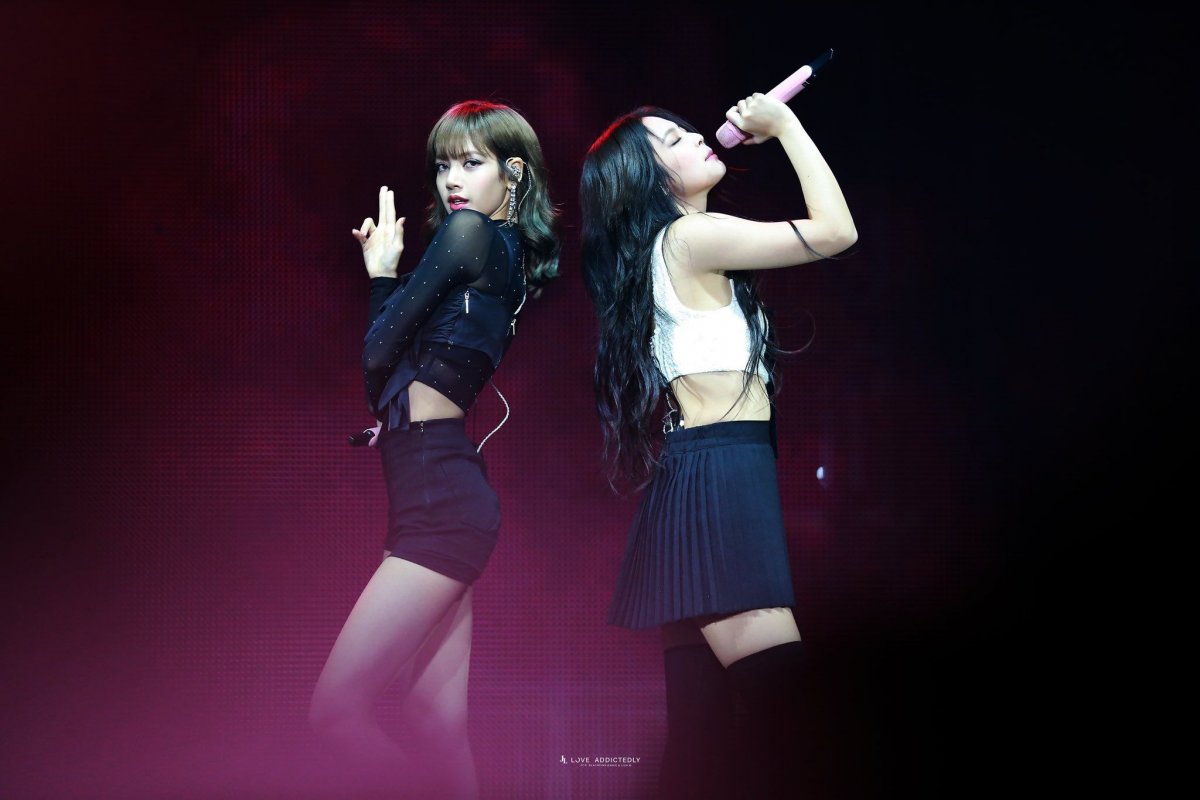 Блэк Пинк лиса и Розе