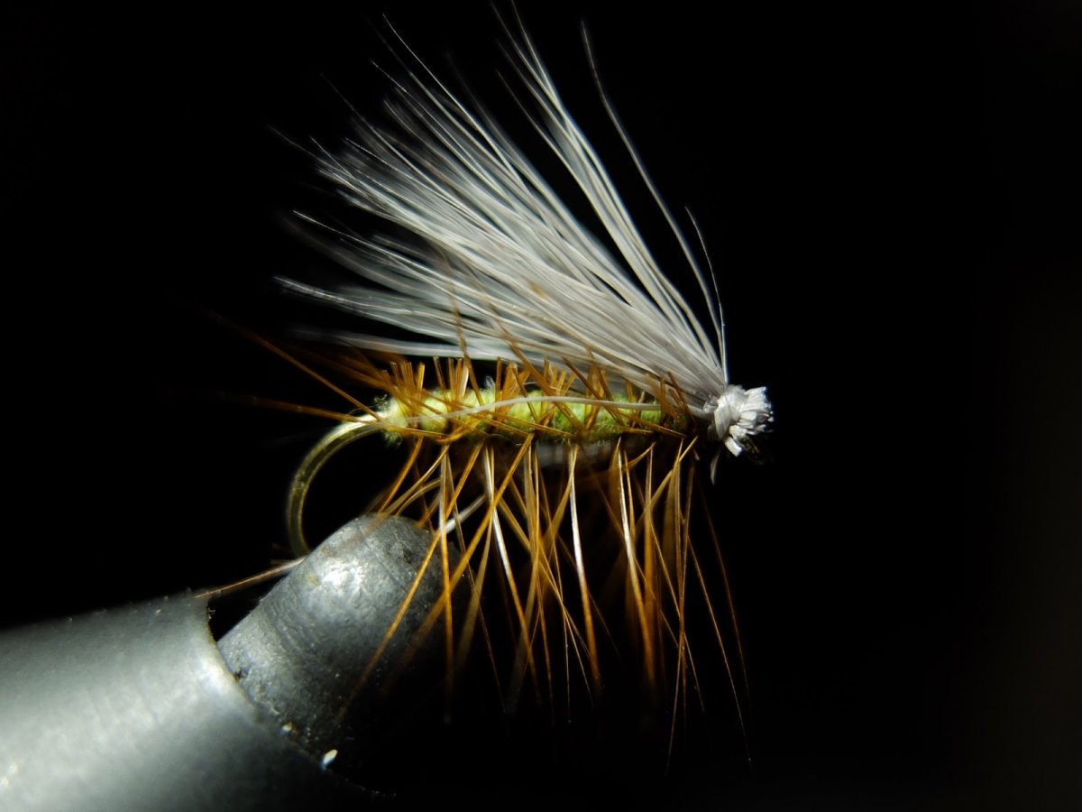 Личинка поденки Ephemeridae